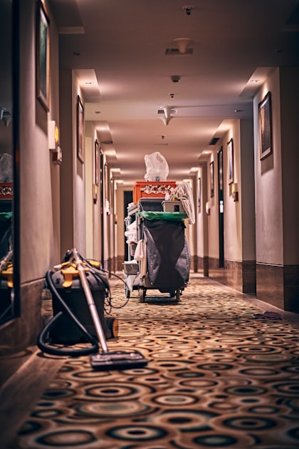 Top Benefits of Professional Carpet Cleaning